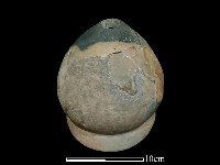 陶甑藏品圖，第1張