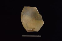 陶片藏品圖，第2張