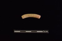 陶環藏品圖，第1張