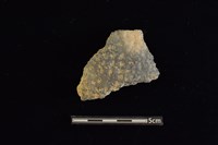 陶片藏品圖，第1張