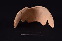 陶片藏品圖，第2張