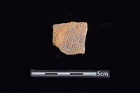 陶片藏品圖，第1張