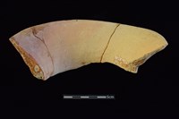 陶罐藏品圖，第2張