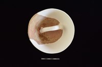 陶蓋藏品圖，第2張