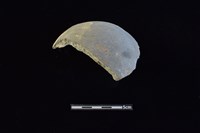 陶片藏品圖，第3張