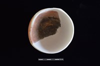 陶缽藏品圖，第2張