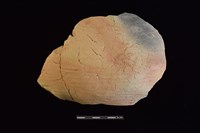 陶片藏品圖，第1張