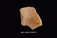 陶片藏品圖，第2張