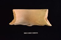 陶罐藏品圖，第2張