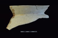 陶罐藏品圖，第1張