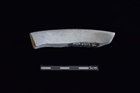 陶片藏品圖，第2張