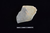 陶片藏品圖，第1張