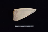 陶片藏品圖，第1張