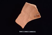 陶片藏品圖，第2張