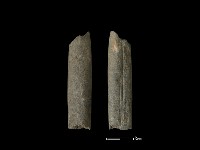 磨製石棒藏品圖，第1張