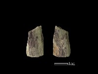 矛鏃形器藏品圖，第1張