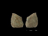 矛鏃形器藏品圖，第1張