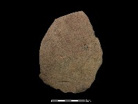 石片藏品圖，第1張