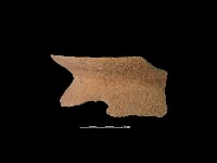 陶罐藏品圖，第4張