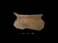 陶罐藏品圖，第3張