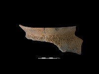 陶罐藏品圖，第2張