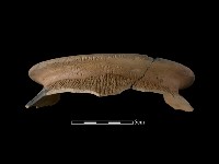 陶罐藏品圖，第2張