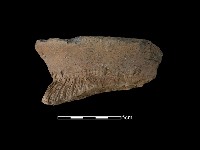 陶罐藏品圖，第2張