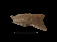 陶罐藏品圖，第1張