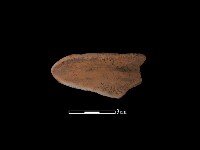 陶罐藏品圖，第2張