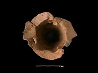 連杯形器藏品圖，第4張