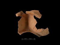 連杯形器藏品圖，第3張