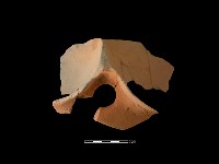 連杯形器藏品圖，第4張