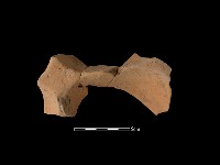 連杯形器藏品圖，第2張