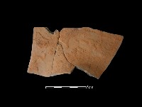 連杯形器藏品圖，第2張