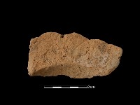 連杯形器藏品圖，第2張