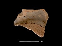 連杯形器藏品圖，第2張