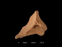 連杯形器藏品圖，第2張