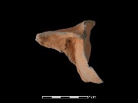 連杯形器藏品圖，第2張