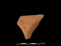 連杯形器藏品圖，第2張