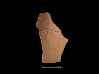 陶片藏品圖，第2張