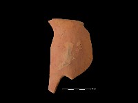 陶片藏品圖，第1張