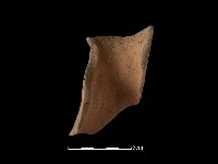 陶片藏品圖，第2張