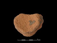 陶片藏品圖，第2張