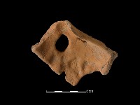 陶片藏品圖，第1張