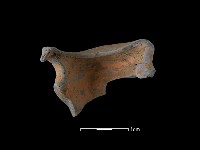 陶片藏品圖，第1張