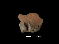 陶片藏品圖，第1張