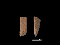 陶片藏品圖，第1張