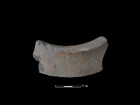 陶片藏品圖，第1張