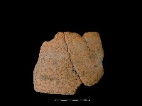 陶片藏品圖，第2張