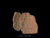 陶片藏品圖，第1張